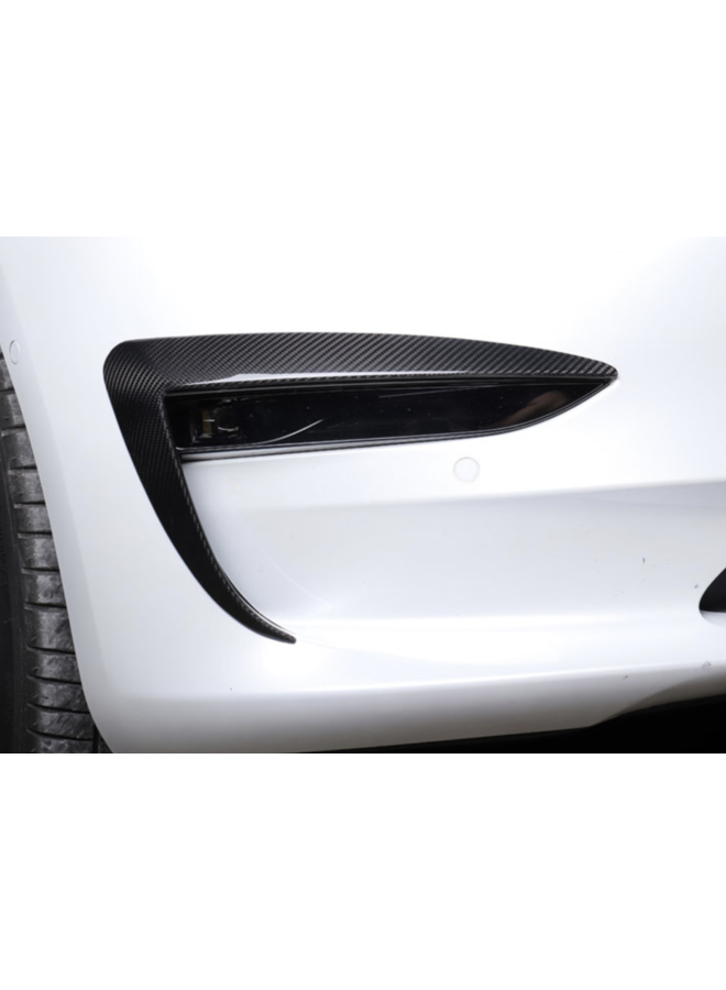 Canard de carbono Tesla Modelo 3