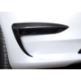 Carbon canard Tesla Model 3