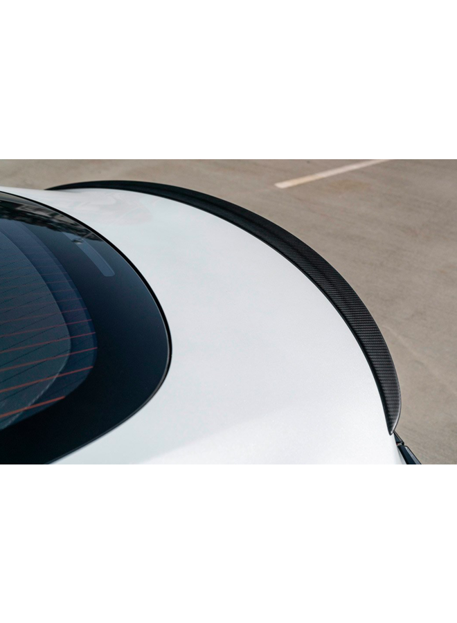 Carbon Performance spoiler Tesla Model 3