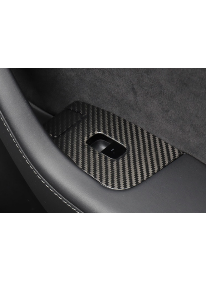 Carbon door covers Tesla Model 3