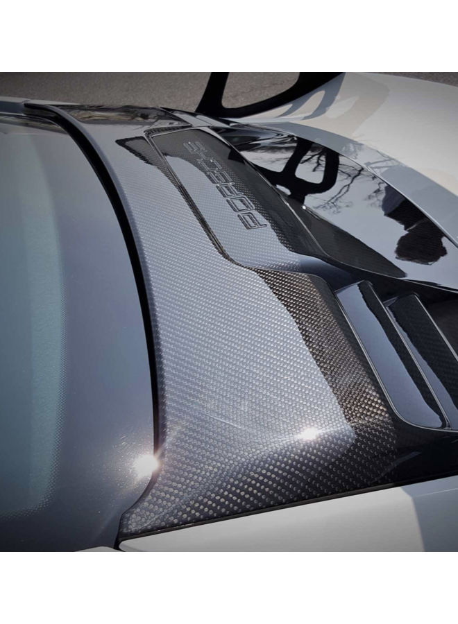 Housse de coffre Porsche 911 991.1 GT3 RS Carbone