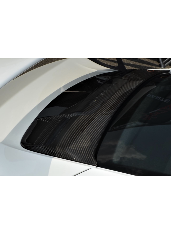 Porsche 911 991.1 GT3 RS Cubierta de maletero de carbono