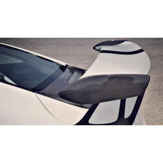 Placas finales de carbono Porsche 911 991.1 GT3 RS