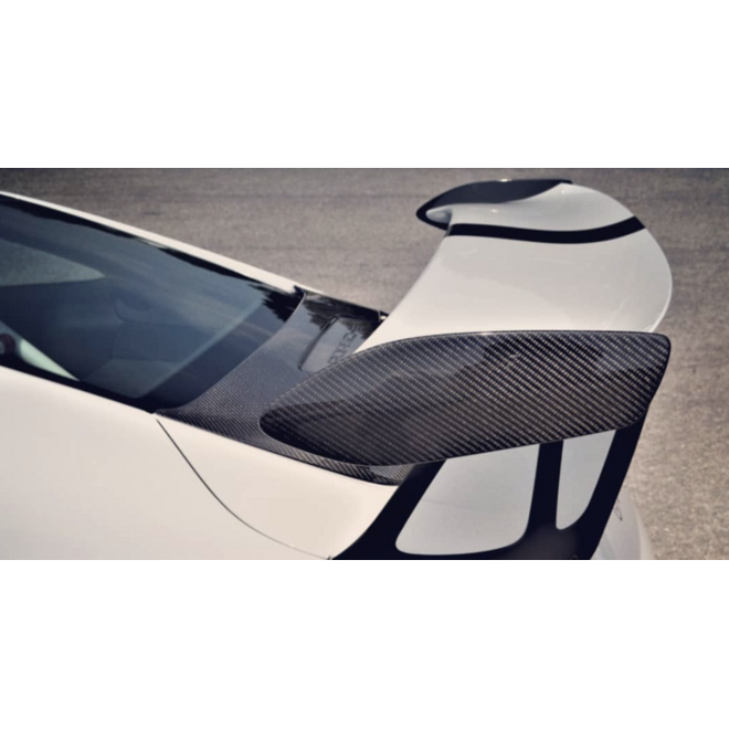 Fondelli in carbonio Porsche 911 991.1 GT3 RS