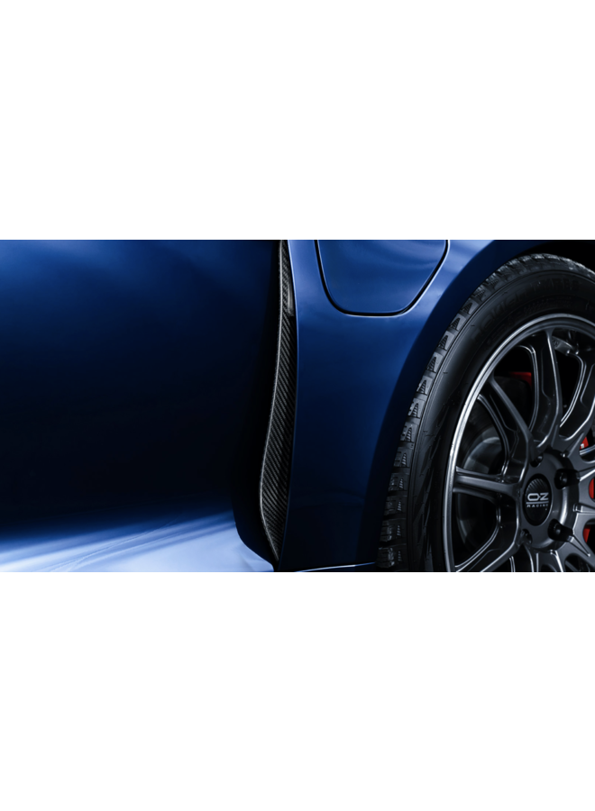 Porsche Taycan 4S Carbon-Bausatz