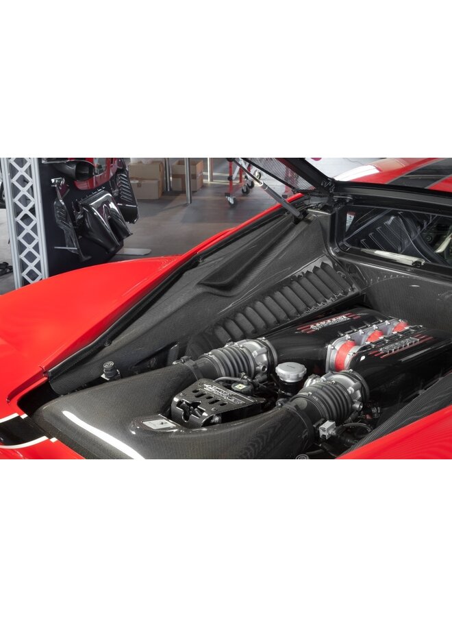Ensemble compartiment moteur Ferrari 458 Special Capristo en fibre de carbone