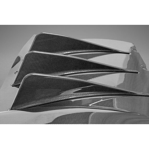Difusor de fibra de carbono Ferrari 458 Italia/Spider Capristo
