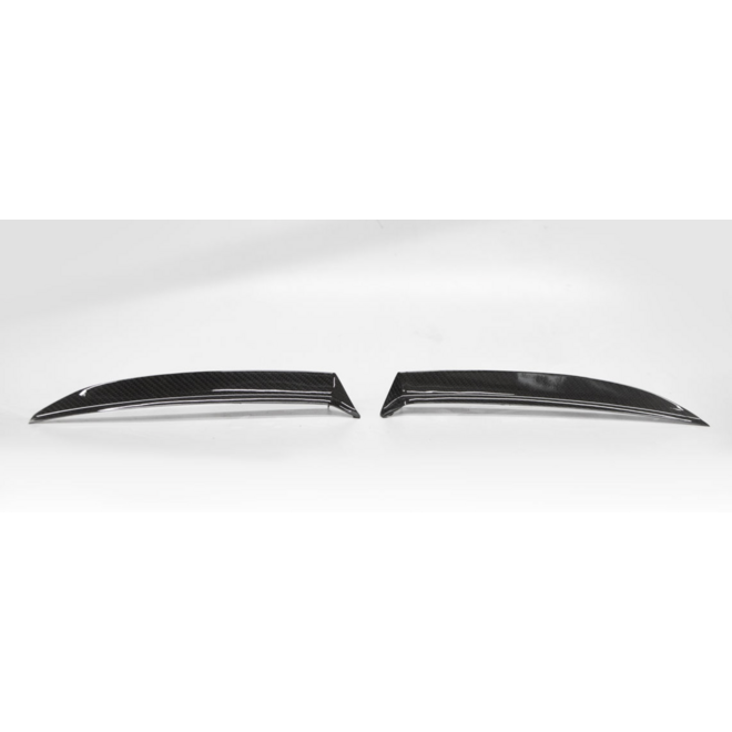 Borde del spoiler de techo de carbono Audi RS6 C8
