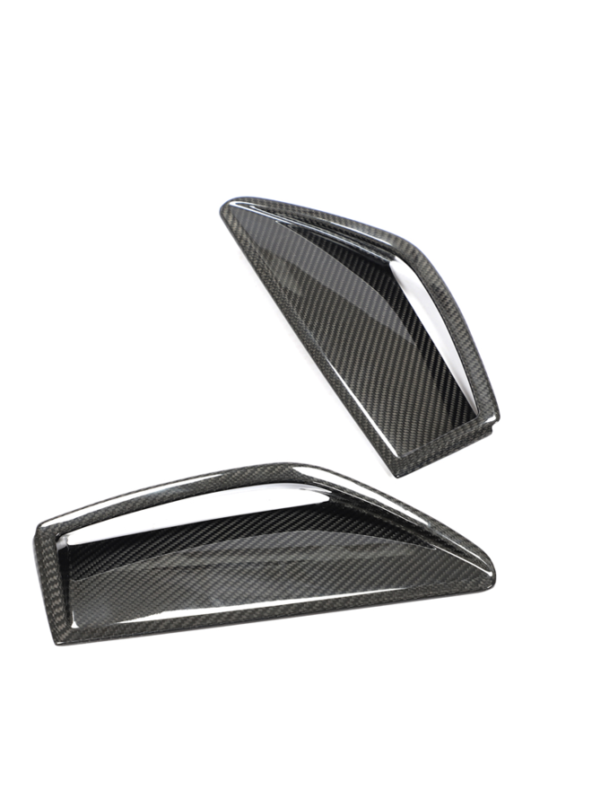 Audi RS6 C8 carbon front bumper air intake insert