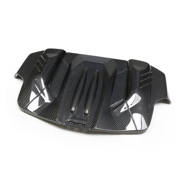 Tampa da placa do motor em carbono BMW M5 M6 F06 F10 F12 F13