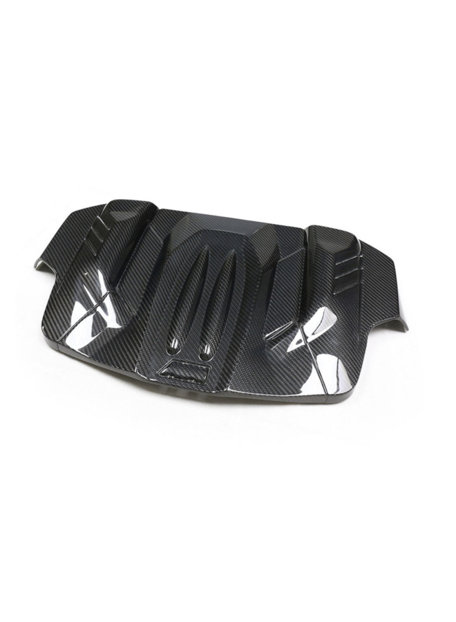 BMW M5 M6 F06 F10 F12 F13 Carbon motor plaat cover