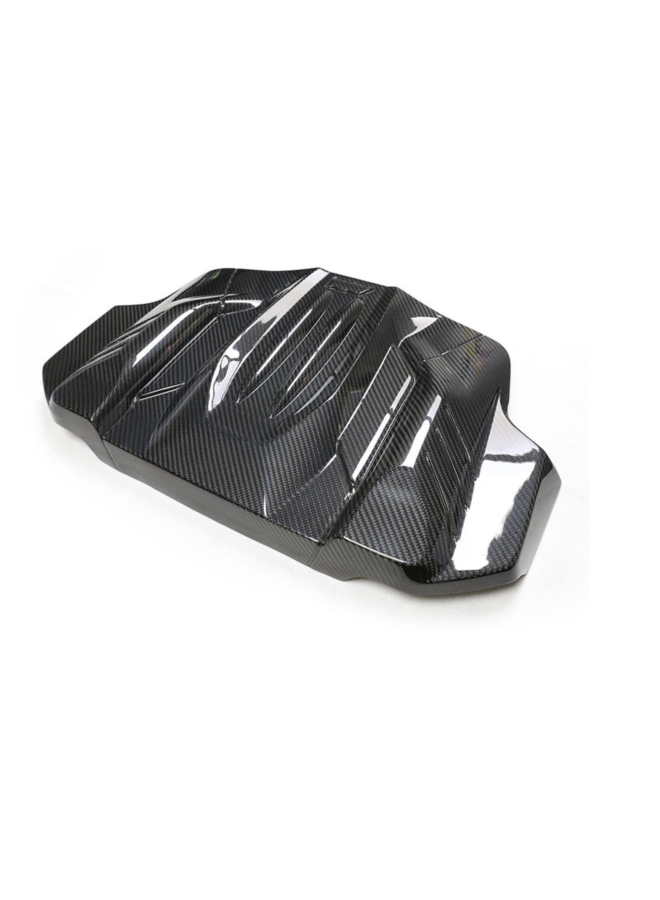 BMW M5 M6 F06 F10 F12 F13 Carbon motor plaat cover