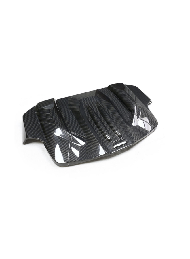 BMW M5 M6 F06 F10 F12 F13 Carbon motor plaat cover