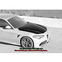 Capô de fibra de carbono Alfa Romeo Giulia QV