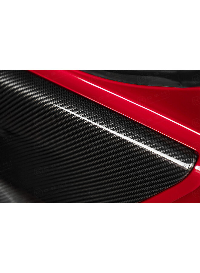 Alfa Romeo 4C Carbon Fiber Binnenkant Deurpanelen