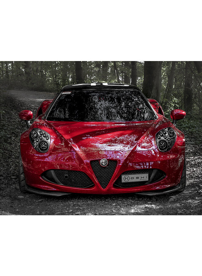 Labbra splitter per alette anteriori in fibra di carbonio Alfa Romeo 4C