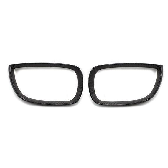 BMW 1 Series E81/E87/E87LCI Carbon Fiber Voor Grill