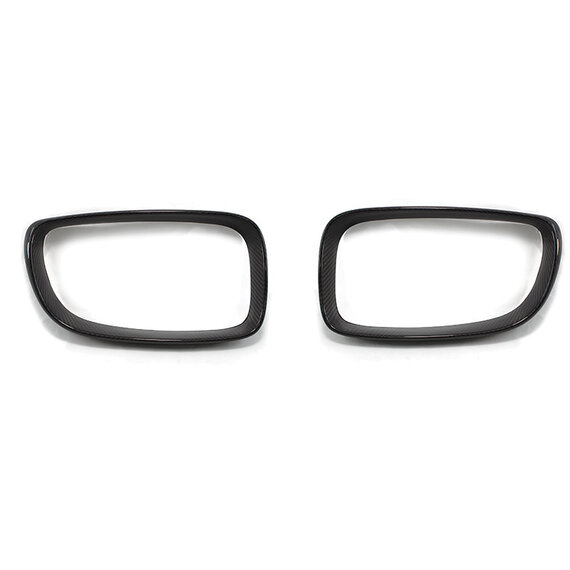 Griglia anteriore in fibra di carbonio BMW Serie 1 E81/E82/E Drive/E87LCI/E88