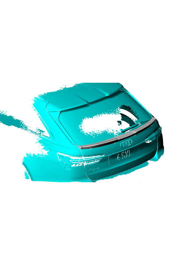 Alerón central de carbono para maletero Audi A6 S6 RS6 C8