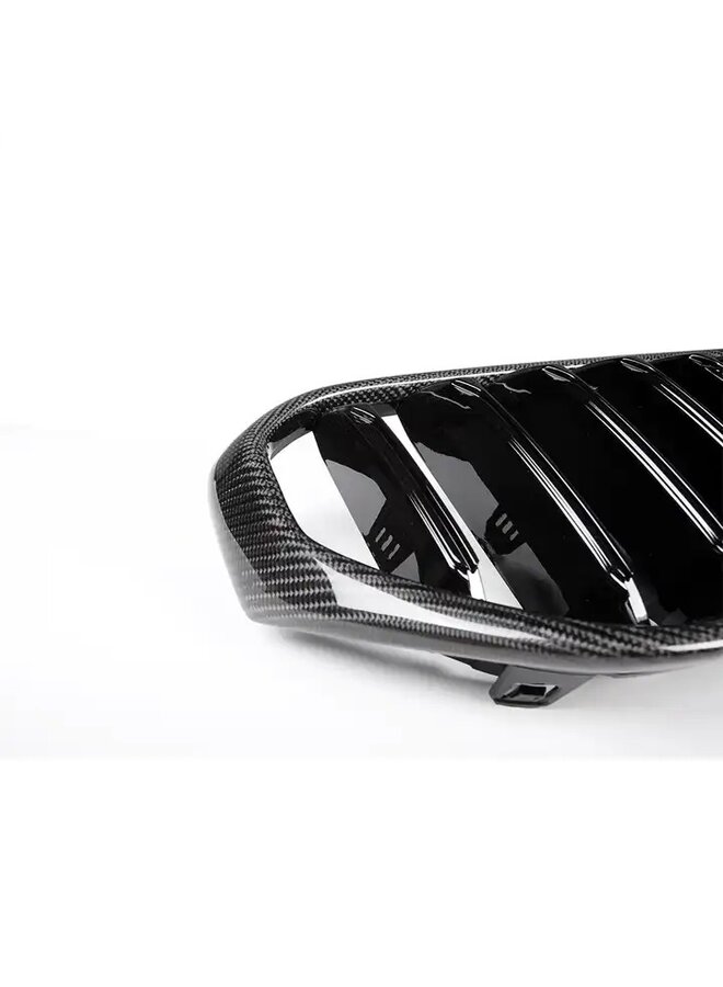 BMW 5 Series G30 | G31 LCI Carbon grill kidneys