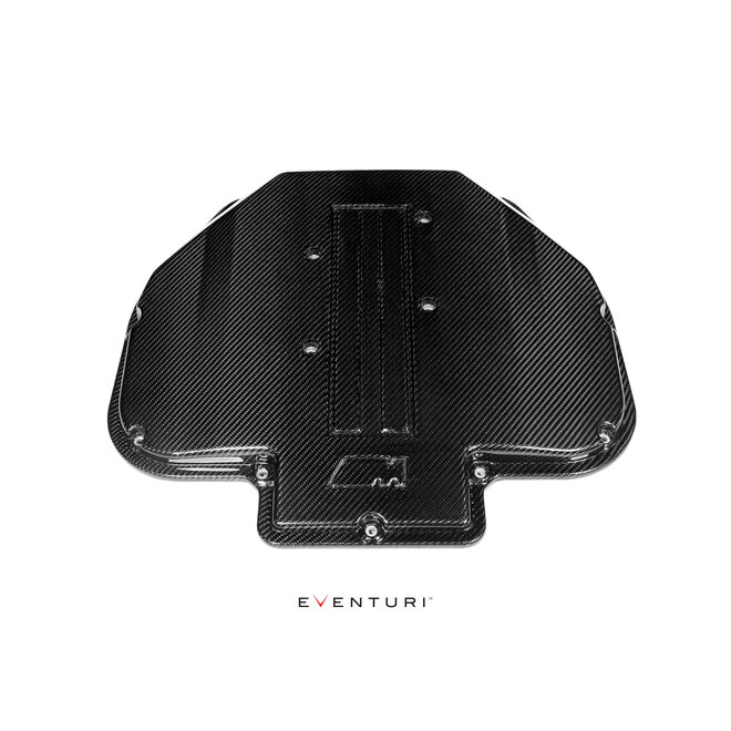 Placa de cobertura do motor em carbono BMW E39 M5 e Z8 Eventuri
