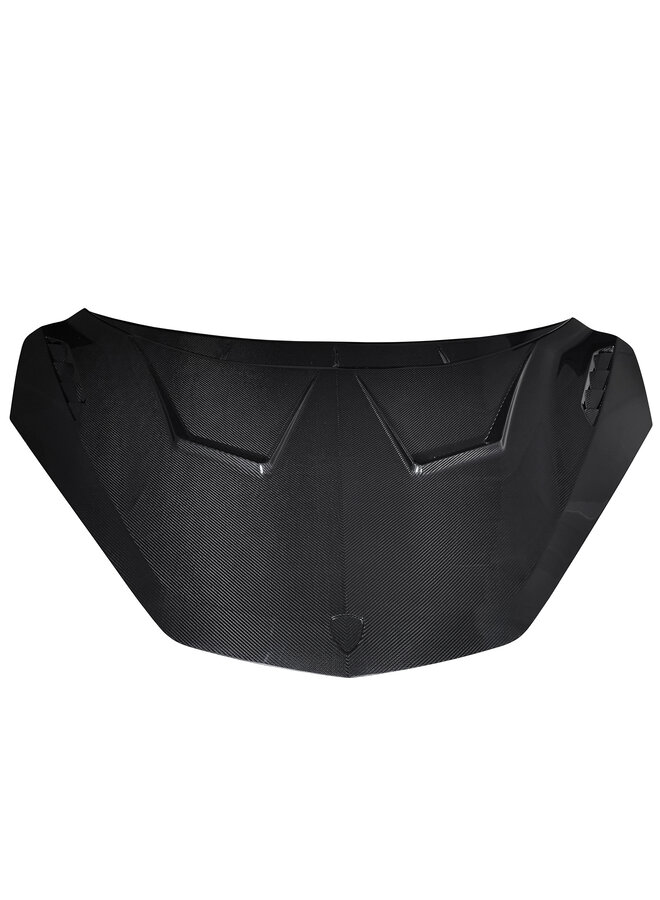Esta é uma capa de capô de carbono Lamborghini Revuelto