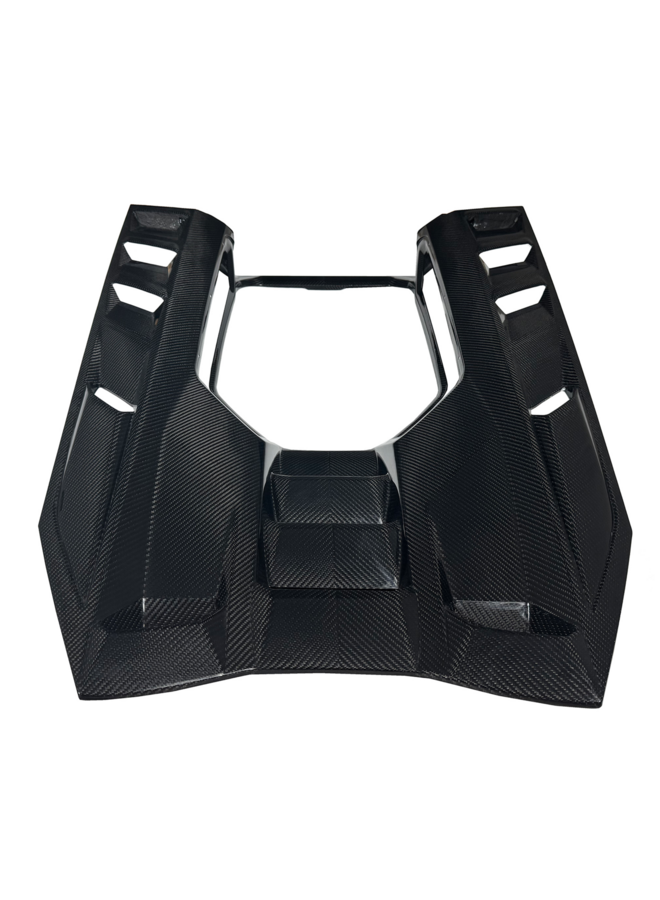 Dit betreft een Lamborghini Revuelto carbon motor cover klep paneel