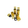 This concerns a Ferrari 12Cilindri lowering spring set