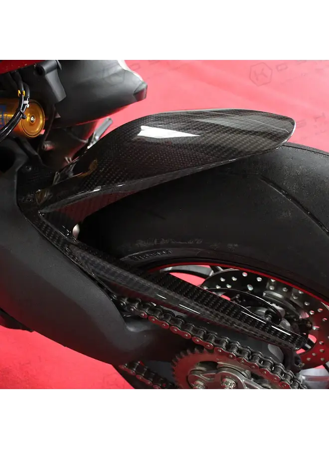 Ducati Panigale V4 S Carbon Heckfender