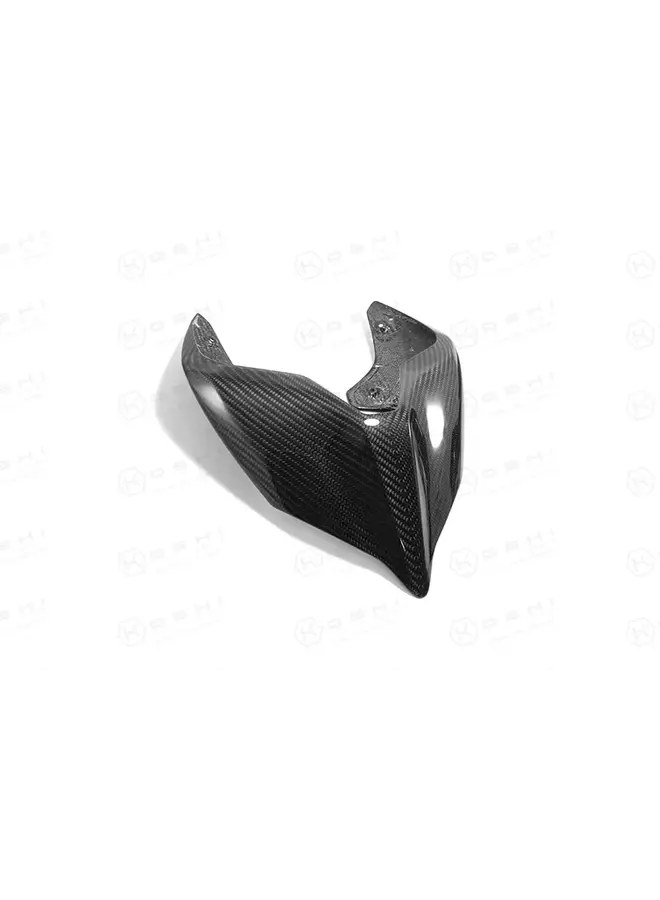 Coque de selle monoplace en carbone pour Ducati Panigale V4 S