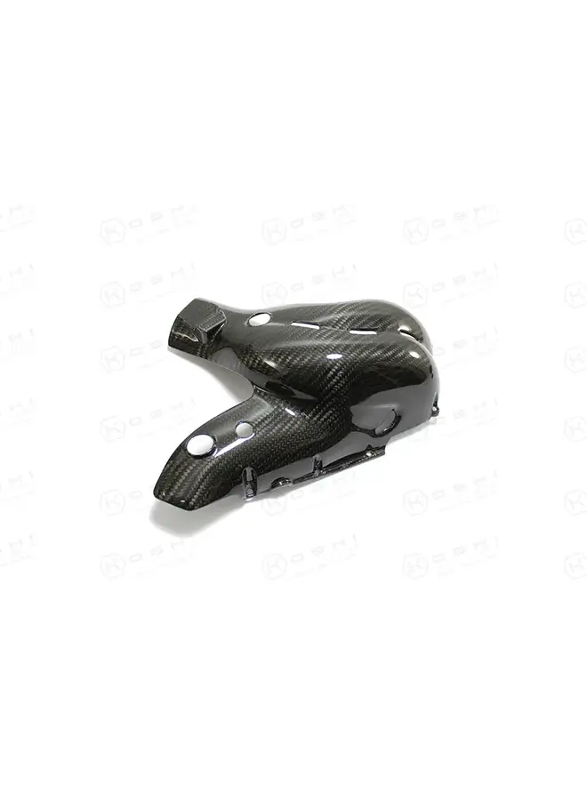 Ducati Panigale V4 S Carbon Uitlaat beschermkap