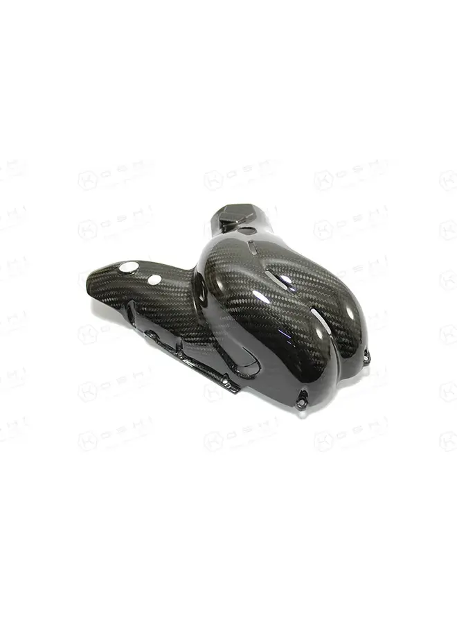 Ducati Panigale V4 S Carbon Exhaust Guard