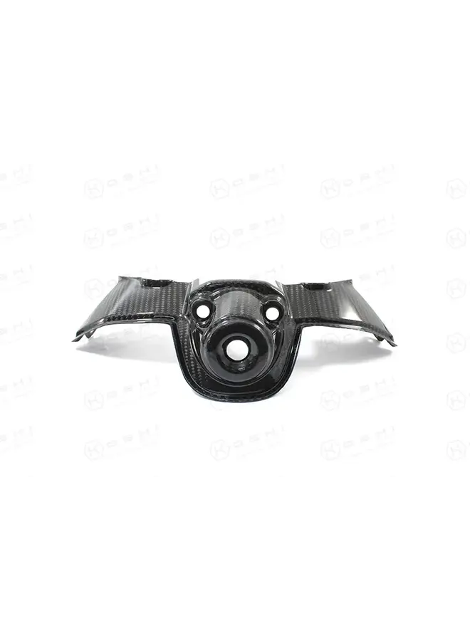 Ducati Panigale V4 S Carbon Contactslot afdekking