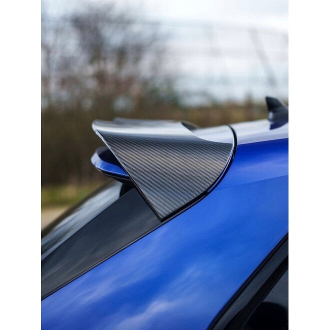 Audi RS3 8Y Sportback spoiler tetto in carbonio