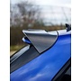 Audi RS3 8Y Sportback carbon roof spoiler