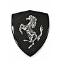 Ferrari F430 carbon fiber fender shield holders
