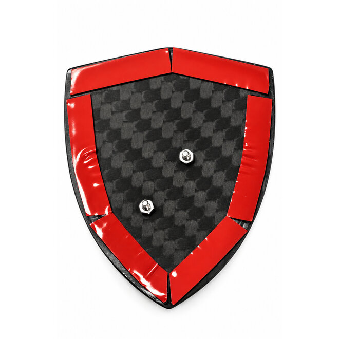 Ferrari F430 carbon fiber fender shield holders