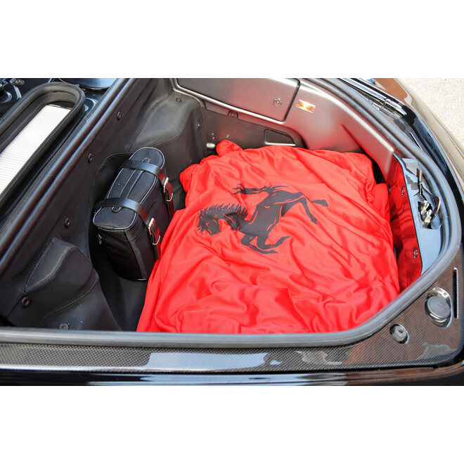 Ferrari F430 panneaux latéraux de coffre en carbone