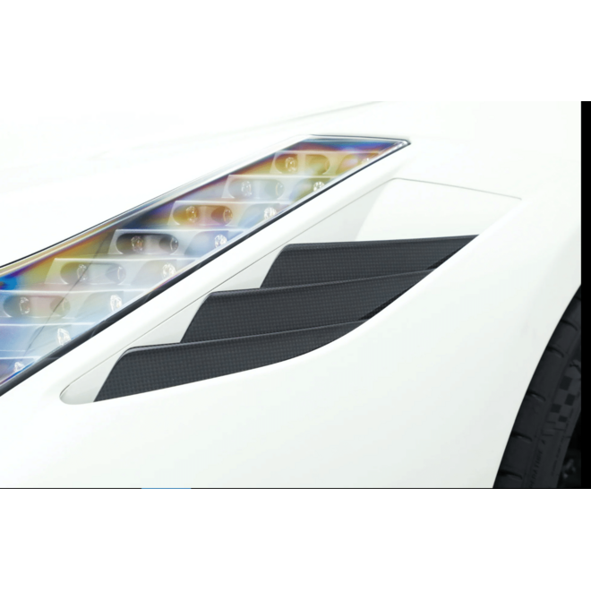 Ferrari 458 Speciale / Aperta carbon zijscherm winglets set