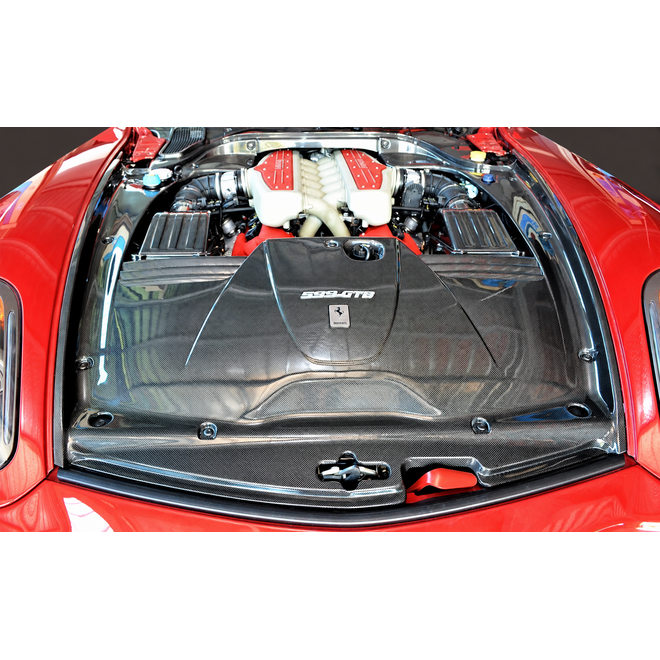 Ferrari 599 GTB carbon motorruimte afdekpanelen set