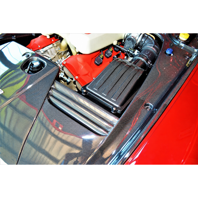 Ferrari 599 GTB carbon motorruimte afdekpanelen set