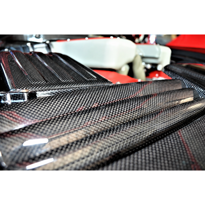 Ferrari 599 GTB panneaux de compartiment moteur en carbone