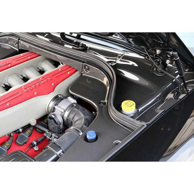 Ferrari 599 GTB pannelli vano motore in carbonio