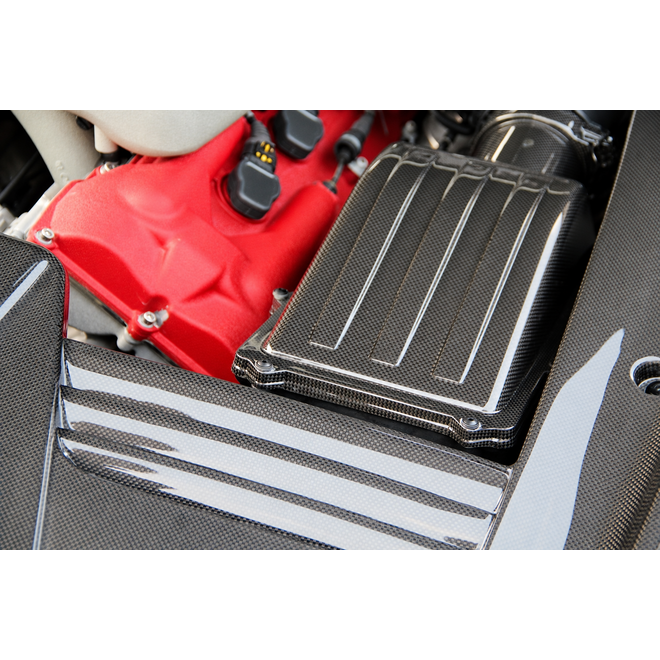 Ferrari 599 GTB carbon motorruimte afdekpanelen set