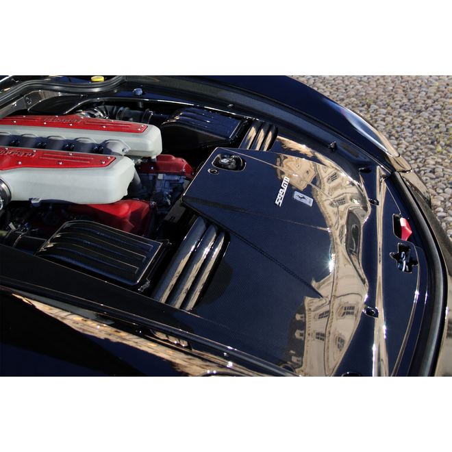 Ferrari 599 GTB carbon engine bay cover set