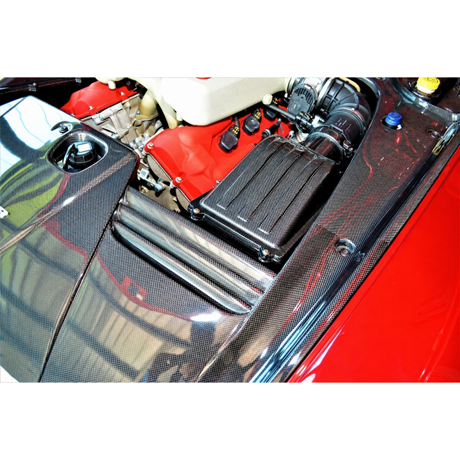 Ferrari 599 GTB carbon airbox lid pair