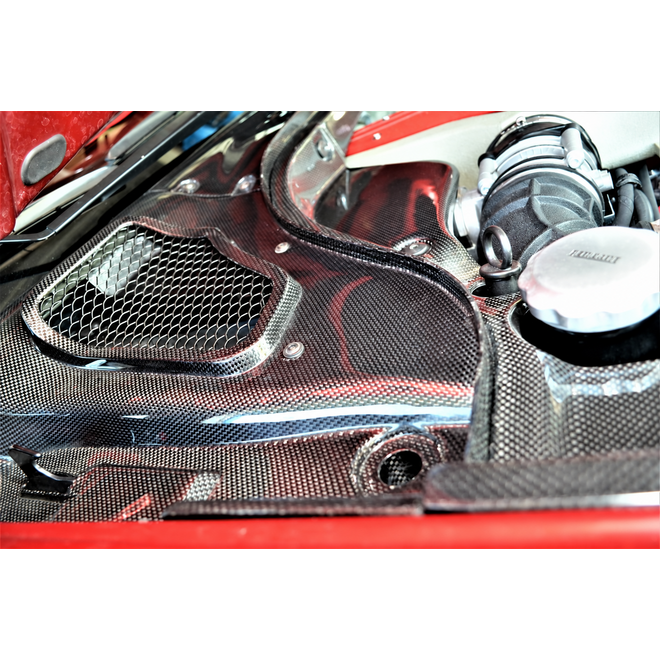 Ferrari 599 GTB painéis sob o para-brisas em carbono LHD
