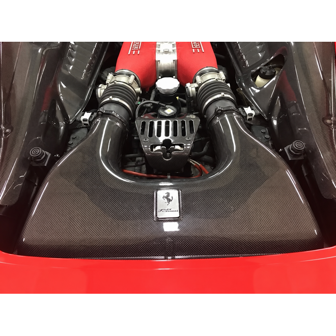 Ferrari 458 Italia / Spider / Speciale coperchio airbox in carbonio
