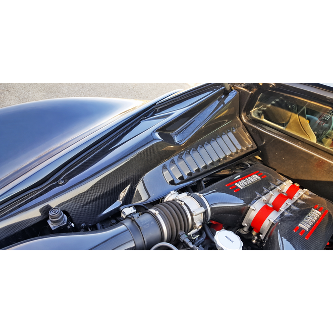 Ferrari 458 Italia / Speciale Carbon Motorraum-Seitenverkleidungen