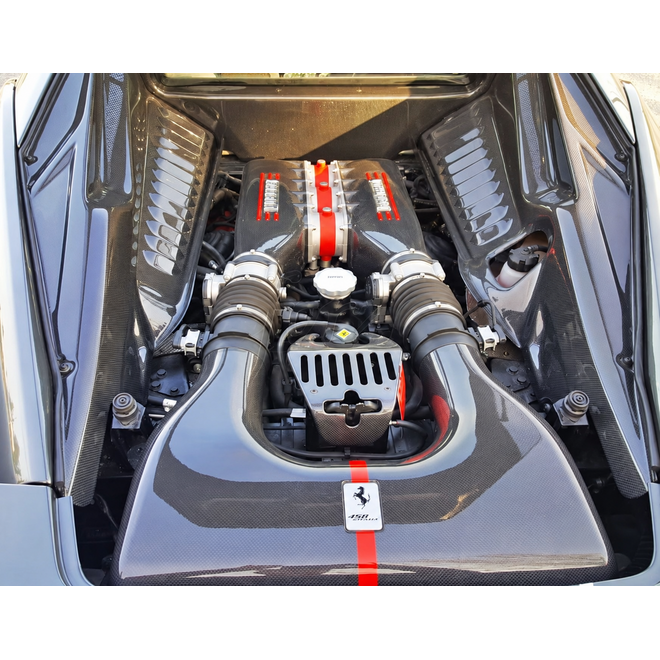 Ferrari 458 Italia / Speciale paneles laterales del vano motor de carbono